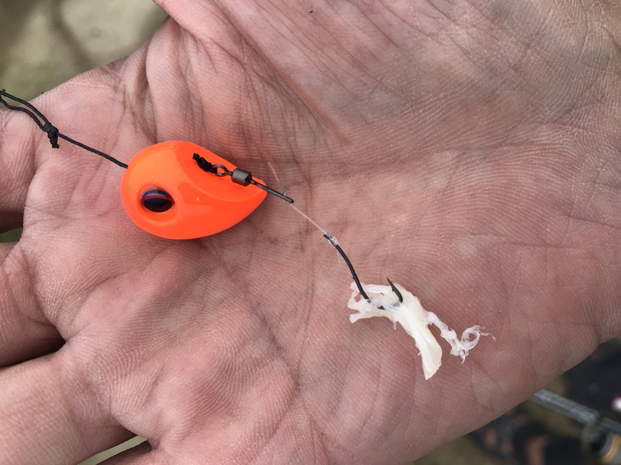 ハゼ釣り】武庫川お手軽ハゼ釣りのはずが？ - NABRA Chase Fishing